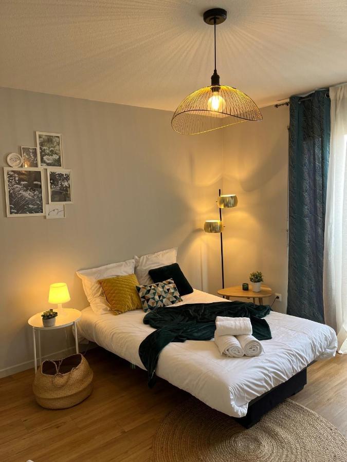 Appartement - Coeur De Ramonville Kültér fotó